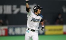 田中賢介(ベストナイン6回、GG賞5回日ハム日本一に2度貢献、元メジャーリーガー)←イマイチ地味な理由