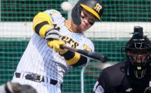 【阪神】新生サトテル！佐藤輝明、新フォームで完璧弾含む２試合４の４「方向性間違っていない」