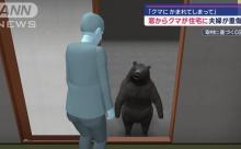 【悲報】クマ、もうなりふり構わなくなる