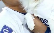 【画像】大谷翔平の犬、かわいすぎる