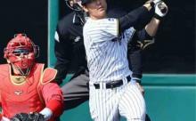 【阪神】井坪陽生が２軍新本拠地初実戦で初長打＆３安打猛打賞「新鮮な感じでした」