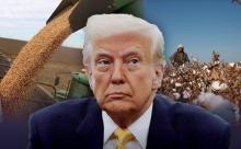 【悲報】トランプ「関税かけたら、報復関税で食料品の輸出が死んじゃった
