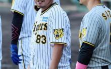 阪神・小谷野コーチのふっくらボディ