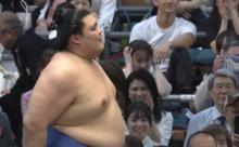 【悲報】現役力士で4回以上幕内優勝している力士、いない