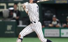 【日本ハム】仙台大の大型スイッチヒッター・平川を今秋ドラフト指名候補にリストアップ