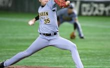 才木、2024年、ヤクルト対戦防御率.2.51　「甲子園での成績が知りたいおーん」