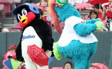 カープvsヤクルト戦は雨天中止。ハーン＆遠藤が合流