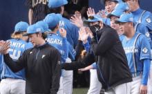 日本ハム新庄剛志監督、今年で辞めそう