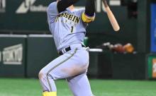 【阪神】森下翔太が４戦連発の６号２ラン　打率トップ快走「結果は準備をしてたらともなってくる」
