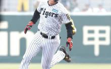 【期待】佐野大陽がついにベールを脱ぐのか……!!?