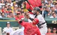 カープ中村奨成ホームスチール失敗について新井監督「私のミスです」赤松コーチ「奨成自身に過失はない」【監督談話】
