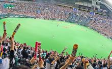 ワイ氏、人生初デートが野球観戦になってしまう