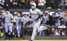 阪神・大山　今季初の２戦連発！日ハムキラー健在　四回ＯＳ２者連続　敗戦の中でも希望見せた
