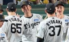 【朗報】 阪神タイガース強すぎるwwwwwwww
