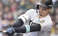 各球団の『生え抜き選手』OPS1位、阪神だけ壊れてて草wwwwwwwww