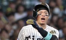 【悲報】阪神、7連敗