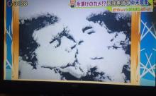 野獣先輩、光の陰影だった 	
