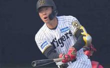 阪神D5位・佐野大陽が昇格見込み　ファームでは打率・307と好調