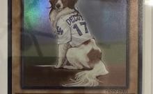 大谷翔平の飼い犬デコピン、遊戯王カードになってしまう