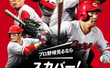 カープを見るにはスカパーが最適？DAZNは加入すると値上げしそうという意見も