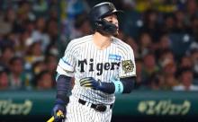 【阪神】佐藤輝明　後半戦いきなり！自己新26号…過去の反省踏まえ「一応、走りました」