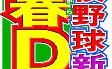 高校野球、来春選抜大会からDH導入へ。セリーグにも導入の波は来るのか