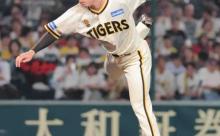 【阪神】石井大智が３３試合連続無失点「ゼロが正義」セ・リーグ記録まであと５試合