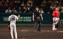 阪神才木、胴上げ前にカープベンチへ頭下げ謝罪。頭部死球の石原が手を上げて応える
